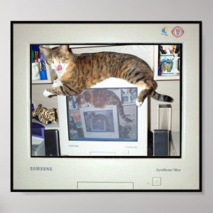 Poster Screen Savor Prints
