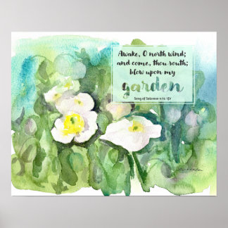 Poster Scripture Song of Solomon White Poppies 