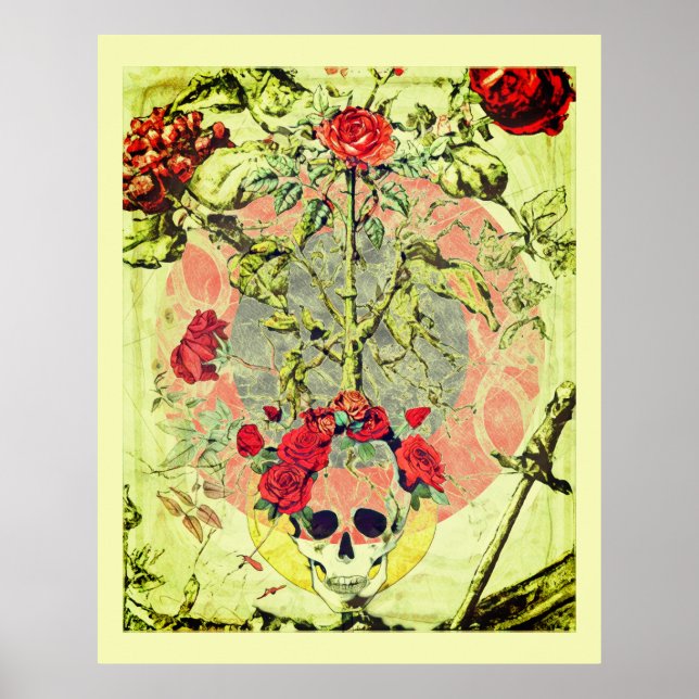 Poster Scull et Rose Bush (Devant)