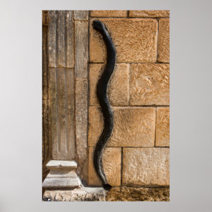 Poster Sculpture de serpent à Amna Suraka