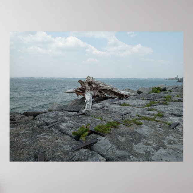 Poster Sculpture du monstre du lac en bois (Devant)