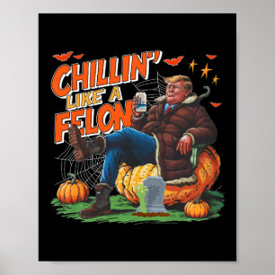 Poster Se détendre comme un criminel Donald Trump Meilleu