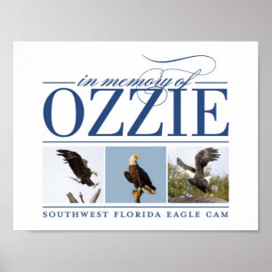 Poster Se rappeler l'affiche décorative d'Ozzie