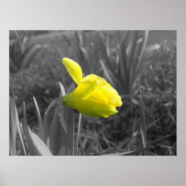 Poster Se réveiller (Devant)