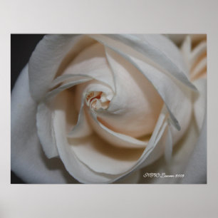 Poster Se sont levés 13