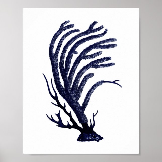 Poster Sea Coral Marine Blue Coastal Wall Art (Devant)