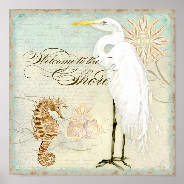 Poster Sea Horse, Great Egret Coastal Beach - Art (Devant)