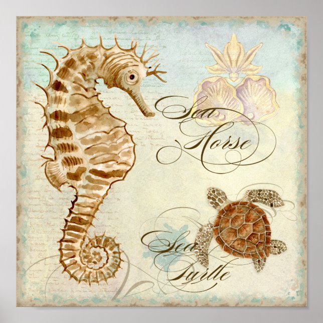 Poster Sea Horse, Sea Turtle Plage côtière - Art (Devant)