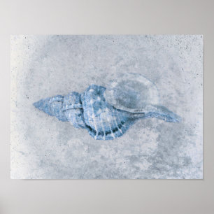 Poster Sea Shell Blue Antique Vintage Ocean Beach Texture