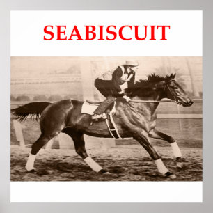 Poster seabiscuit