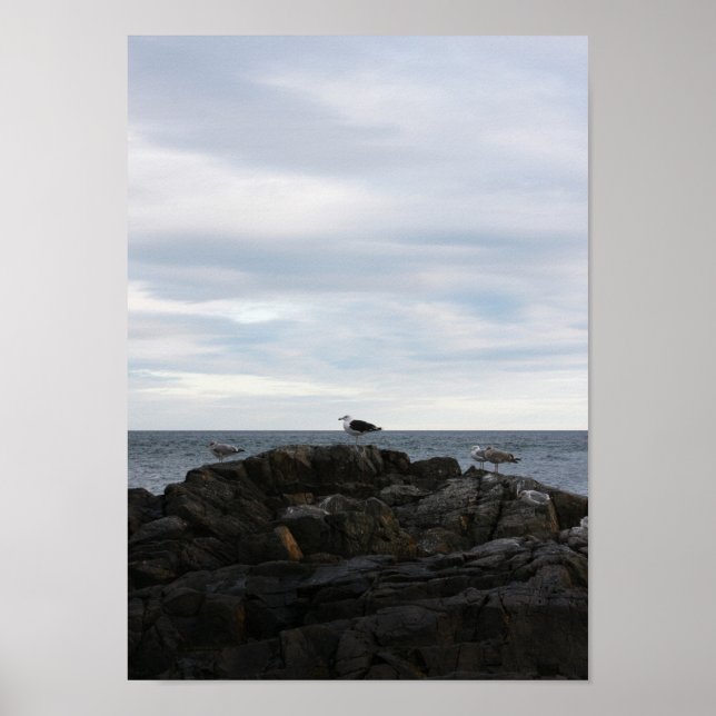 Poster Seabrook Gulls (Devant)