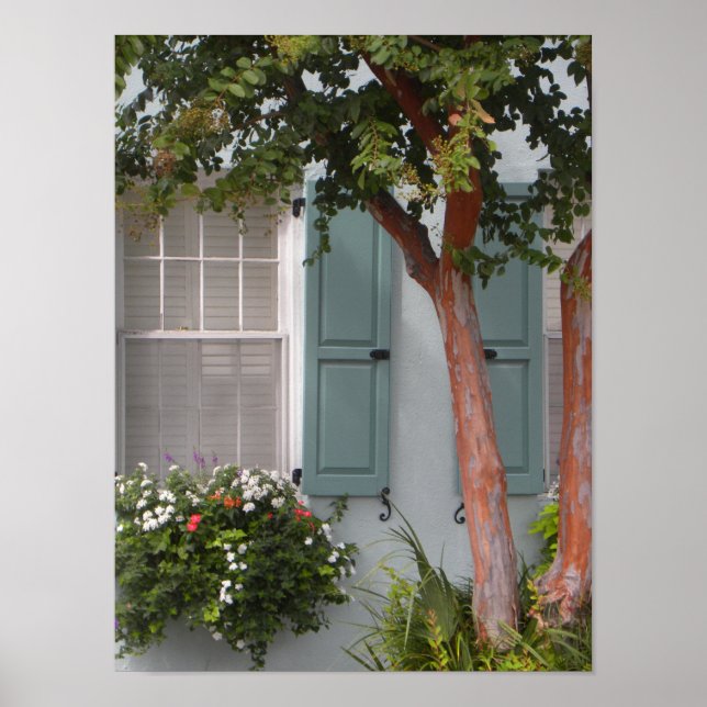 Poster Seagreen Shutters (Devant)