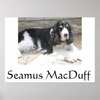 Poster Seamus MacDuff