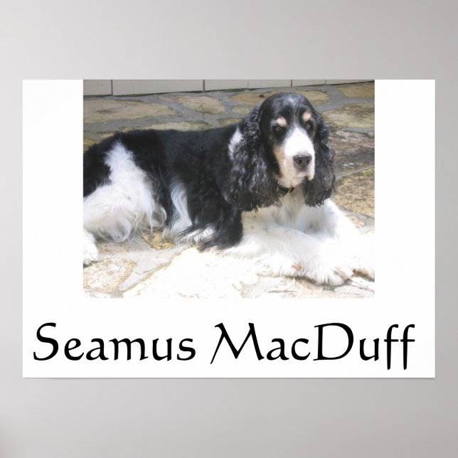 Poster Seamus MacDuff (Devant)