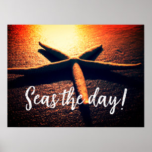 Poster Seas the day beautiful starfish sunset beach photo