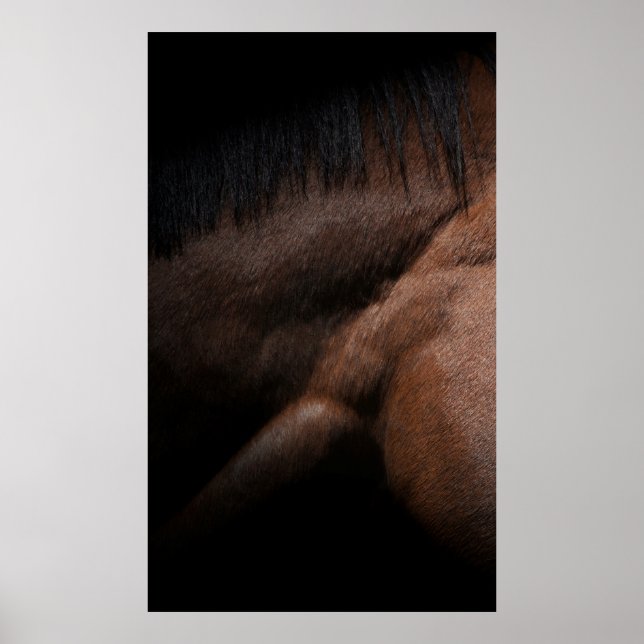 Poster Seattle (Devant)