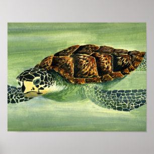 Poster seaturtle acrylique