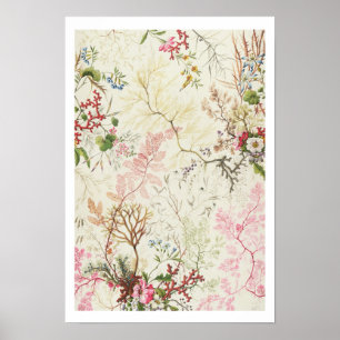 Poster Seaweed design for silk material (w/c on paper)