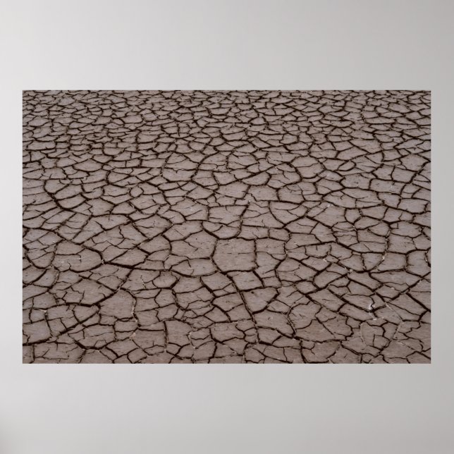 Poster Séché (Devant)