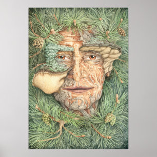 Poster Sèche de pin