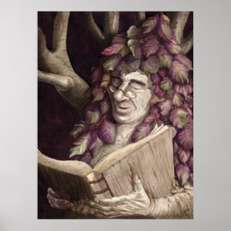 Poster Sèche hêtre