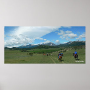 Poster Section 33