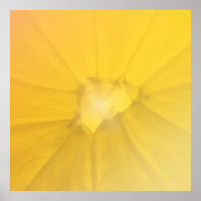 Poster Section citron (Devant)