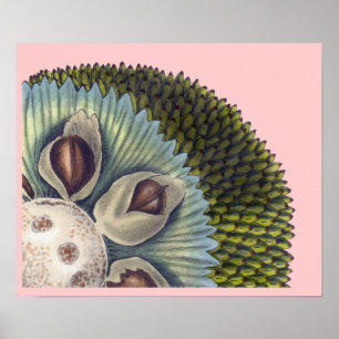 Poster Section transversale d'un Fil de pain - Aliments t