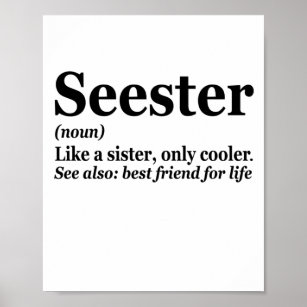 Poster Seester Noun Definition Best Sister Funny Gift