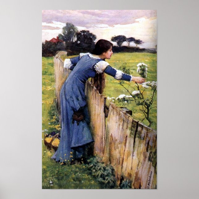 Poster Sélecteur de fleurs par John Waterhouse Imprimer (Devant)