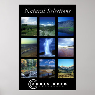 Poster Sélections naturelles