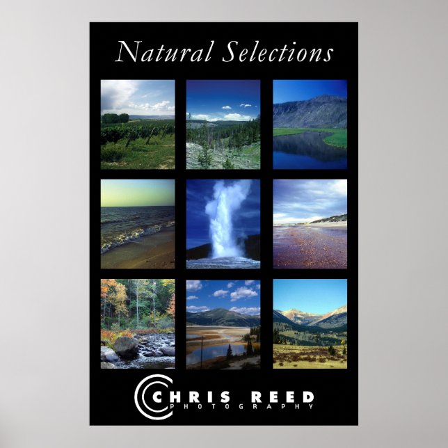 Poster Sélections naturelles (Devant)