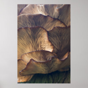 Poster Selective focus photo of mushroom