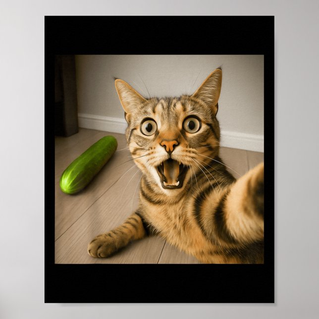 Poster Selfie Chat Chocé Drôle Avec Conception De Mème De (Devant)