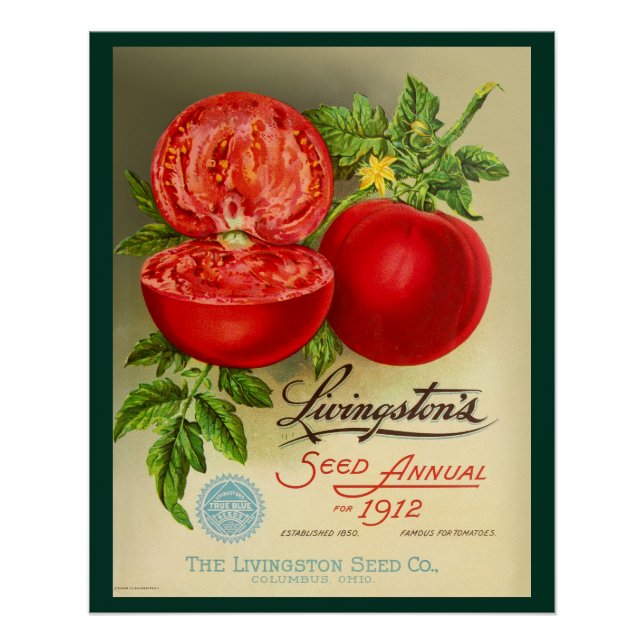 Poster Semences annuelles (Devant)