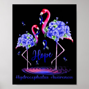 Poster Sensibilisation à l'hydrocéphalie