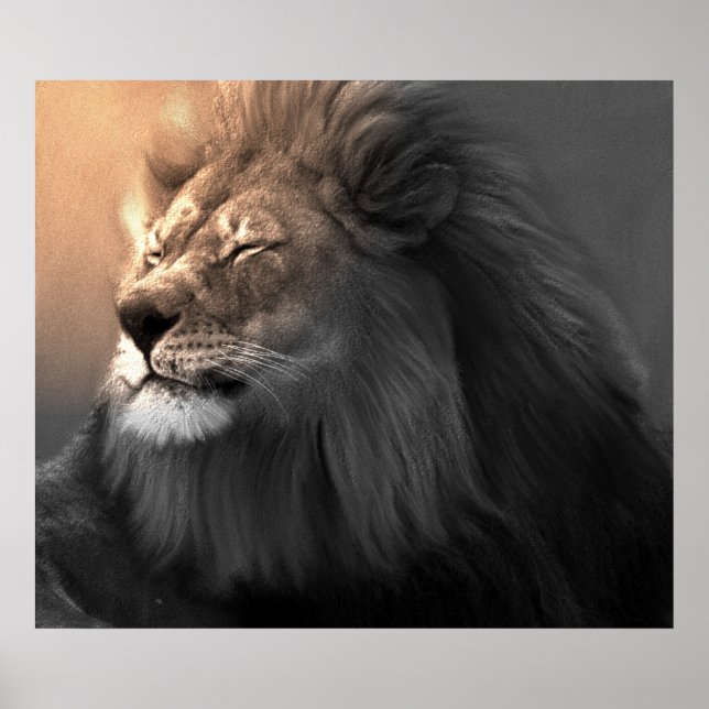 Poster Sentez La Lumière Blanche (Devant)