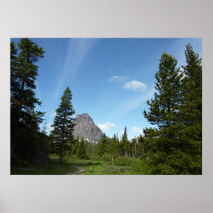 Poster Sentier Aster Park dans le parc national de Glacie