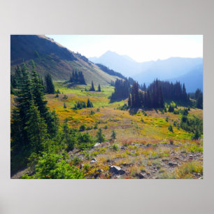 Poster Sentier de Hurricane Ridge