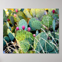 Sentier de l'Opuntia