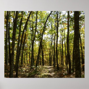 Poster Sentier des Appalaches en octobre à Shenandoah