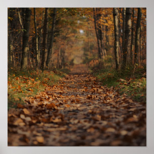 Poster Sentier forestier automnal