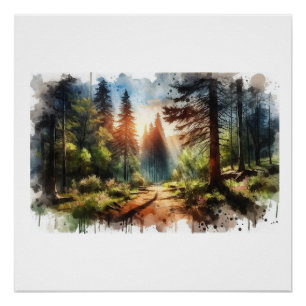 Poster Sentier forestier ensoleillé,
