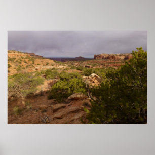 Poster Sentier Neck Springs dans le parc national de Cany