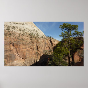 Poster Sentier pour Angels Landing dans le parc national 