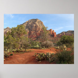 Poster Sentier Teacup I