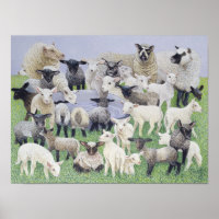 Sentiment de Sheepish
