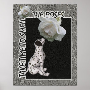 Poster Sentir La Dalmatie Rose Chiot Inspirationnel