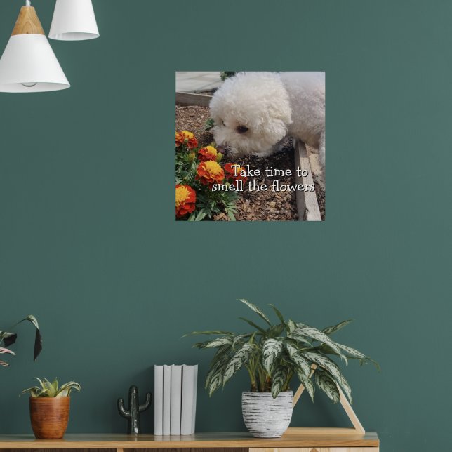 Poster Sentir les Fleurs  (Salon 1)