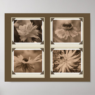 Poster Sepia Tint Flowers Collage Nature